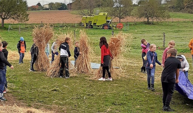 Die Kinder der Klasse 4a der Grundschu...eln das selbst angebaut Korn zusammen.  | Foto: Heike Wenke