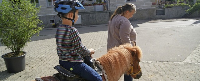 Zisch-Reporter Leon Seidel auf einem P...rienhof Spth in Neukirch am Bodensee.  | Foto: privat