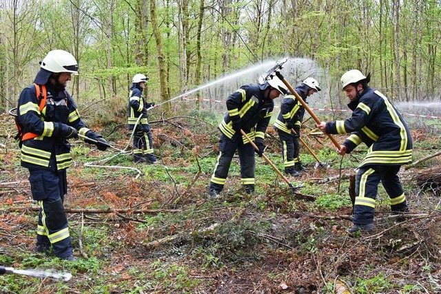 Die Trockenheit erhht die Waldbrandgefahr.  | Foto: Benedikt Sommer