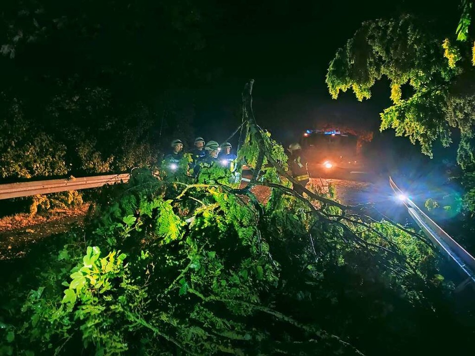 Zahlreiche Bäume versperrten Wege und Straßen in Denzlingen.  | Foto: Feuerwehr Denzlingen