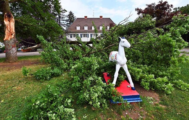 Das Holbeinpferd blieb whrend des Unw... den Nachbarbaum hat&#8217;s erwischt.  | Foto: Thomas Kunz