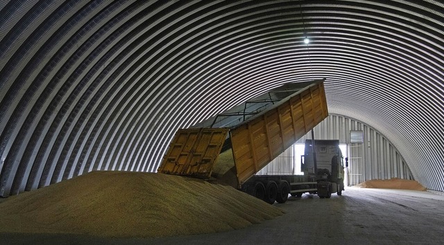 Ein Laster entldt Getreide in einem G... in dem Dorf  Shuriwka in der Ukraine.  | Foto: Efrem Lukatsky (dpa)