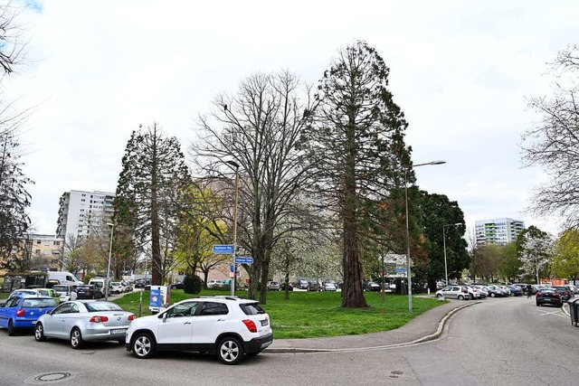 Eine Flche fr einen Neubau der FSB g...e Sulzburger Strae / Hgelheimer Weg.  | Foto: Thomas Kunz