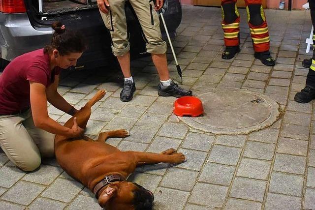 Feuerwehren aus Wehr und Bad Säckingen üben Tierrettung