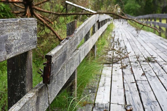 Der Moorsteg hat seine besten Zeiten h...as Hinterzartener Moor saniert werden.  | Foto: Thomas Biniossek