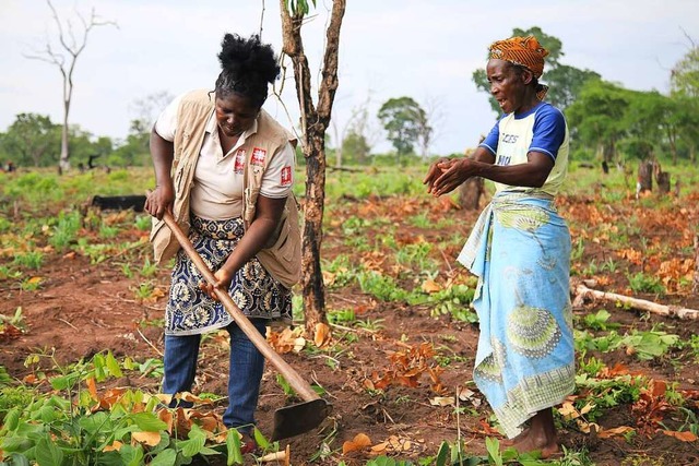 Mosambik: In dem vom Klimawandel schwe...er und Unterernhrung weit verbreitet.  | Foto: Andreas Scheibenreif