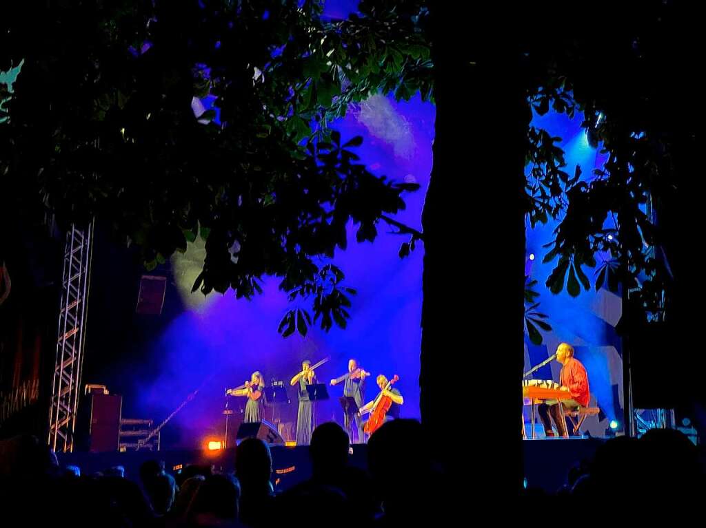 Impressionen vom Stimmen-Konzert mit Danger Dan und Engin