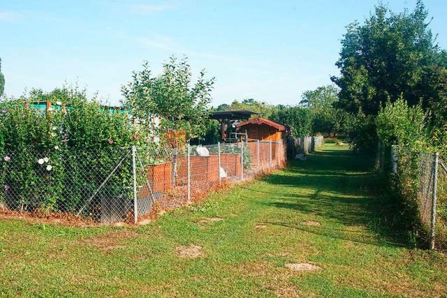 Die Gemeinde hat Regeln fr die Garten...en und die Pachtpreise krftig erhht.  | Foto: Ilona Hge