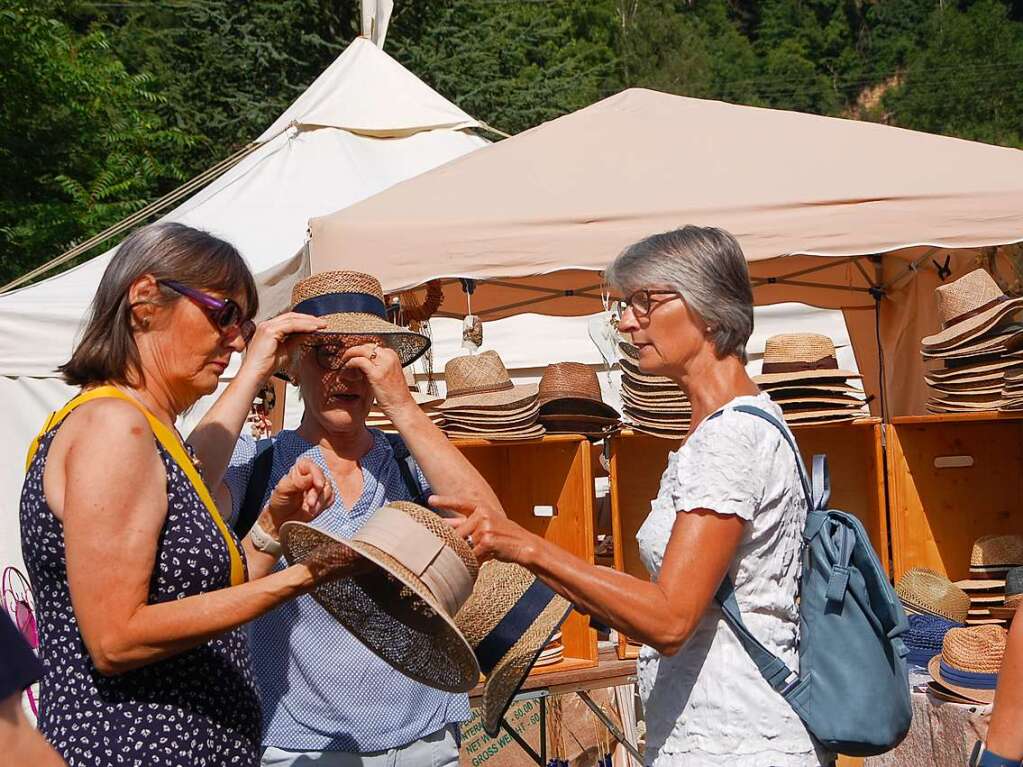 Die Diga auf Schloss Beuggen