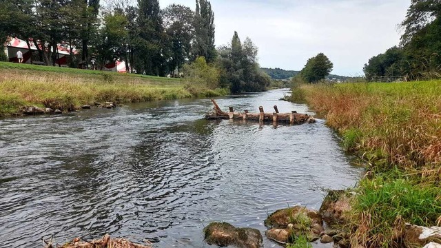 Lenkbuhnen mit Baumstamm und Pfahlsicherung schaffen sanftere bergnge.  | Foto: RP Freiburg