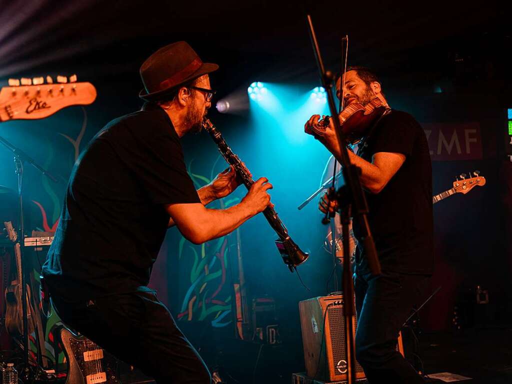 Mit immer neuen Interpretationen ihrer Songs heizte die Band Debout Sur le Zinc den Besuchern des ZMF am Freitag ein.