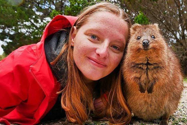 Auf Rottnest Island jagen Menschen nach Selfies mit Quokkas