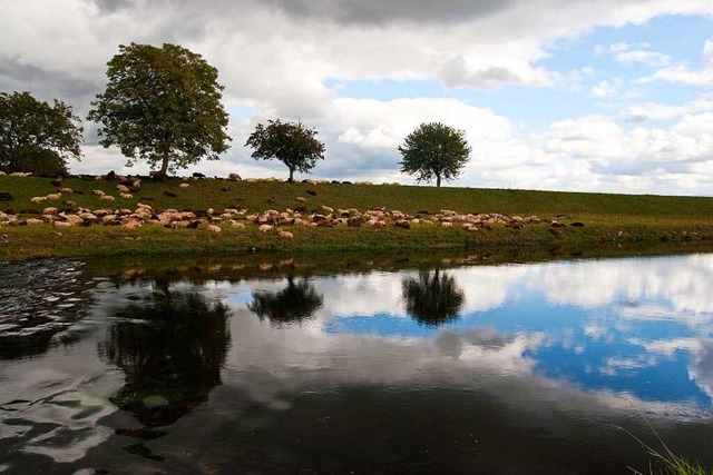 Leopoldskanal zwischen Rheinhausen und Weisweil  | Foto: Hagen Schnherr