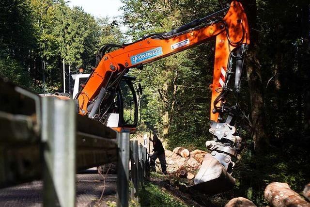 Behrde: Kandelstrae ab Waldkirch ist Mitte August wieder offen
