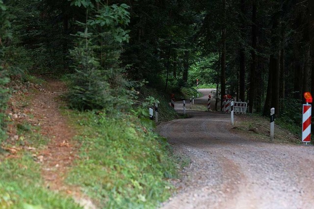 Die Umleitung ist steil und verluft auf Forstwegen.  | Foto: Patrik Mller