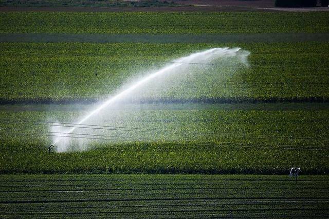 Neue Wasserverbände sollen Landwirten im südlichen Breisgau beim Beregnen helfen