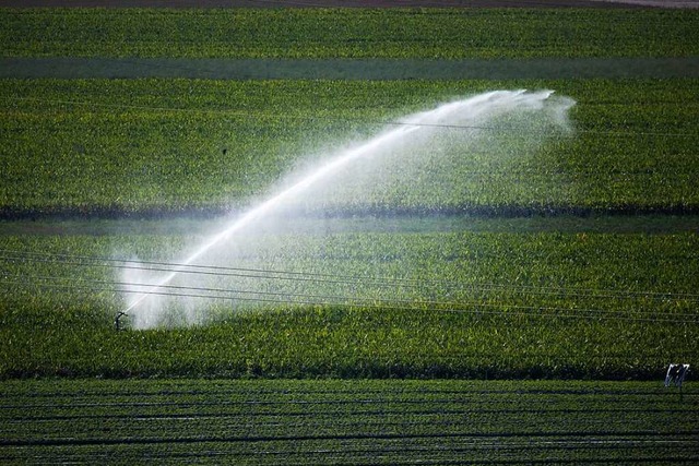 Ohne Wasser knnen Landwirte heutzutag...isgau Produktion und Existenz sichern.  | Foto: Philipp von Ditfurth (dpa)
