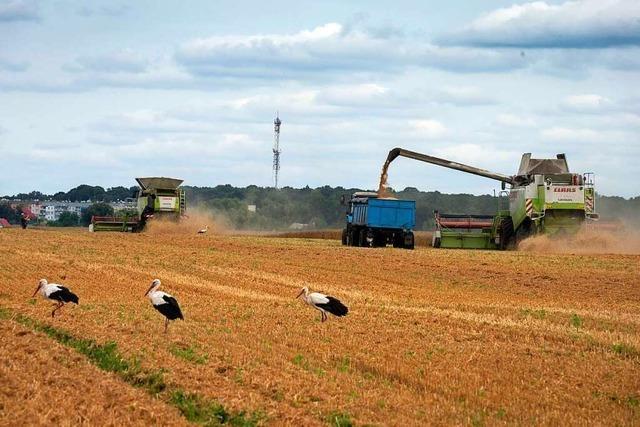 Russland erklärt Getreide-Pakt für beendet
