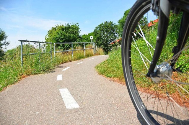 Radfahren im Landkreis soll sicherer und attraktiver werden.  | Foto: Nikolaus Trenz