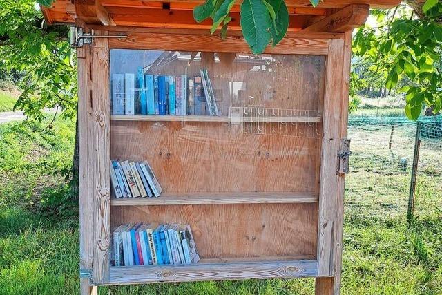 Initiatorin des Bücherschrankes in Oberweier ist verärgert über Bücherdiebstahl
