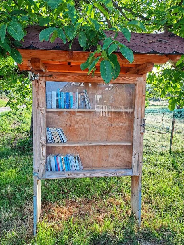 Fast vollstndig leer gerumt hat Mari...ffentlichen Bcherschrank vorgefunden.  | Foto: Marina Pilgram