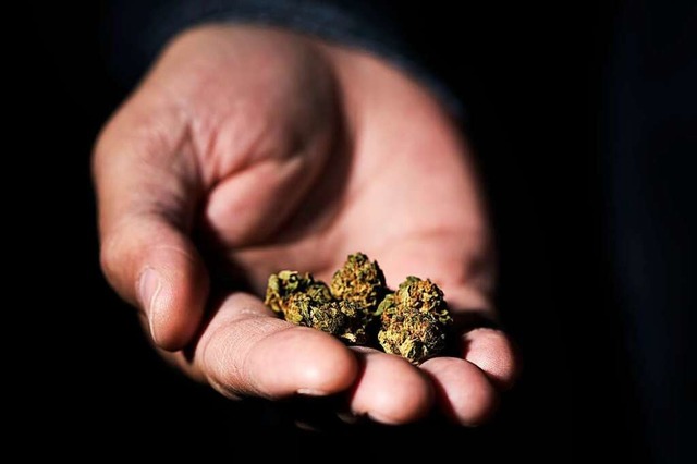 Weil er in groen Mengen mit Marihuana...4-Jhriger ins Gefngnis. (Symbolbild)  | Foto: nito (stock.adobe.com)