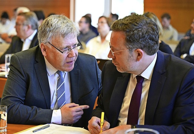 Der Berliner Landeswahlleiter Stefan B...er Roland Brumberg bei der Verhandlung  | Foto: Bernd Weibrod (dpa)