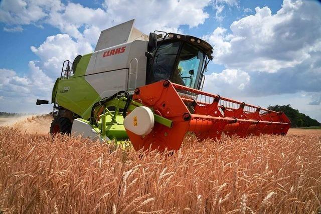 Was bedeutet das Ende des Getreideabkommens für die Ukraine und die Welt?