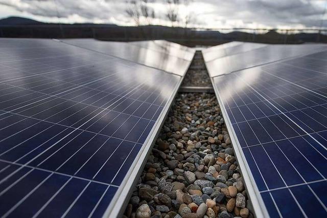 Rickenbacher Ortsteil bekommt 2,3 Hektar groe Photovoltaikanlage
