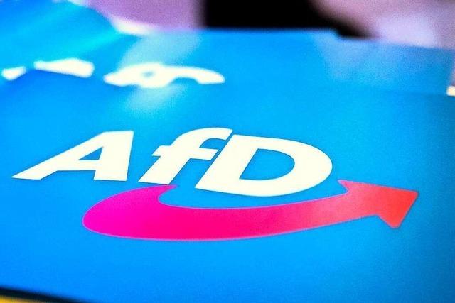 AfD in Baden-Wrttemberg legt zu auf 19 Prozent