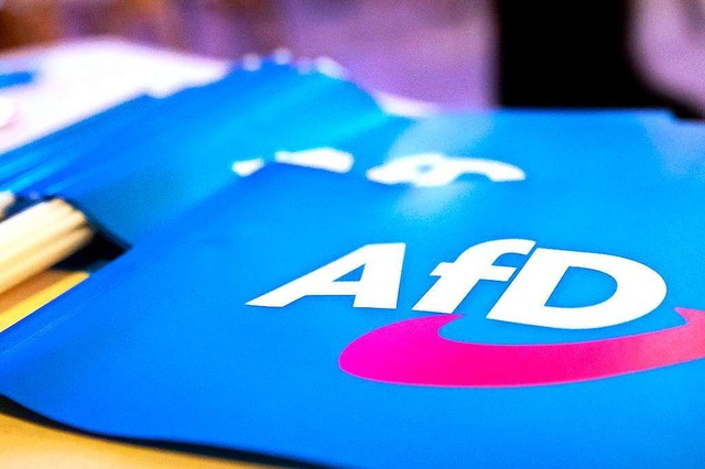 Die AfD bekommt in Baden-Wrttemberg e...pulisten auf 19 Prozent. (Symbolbild).  | Foto: Daniel Karmann (dpa)