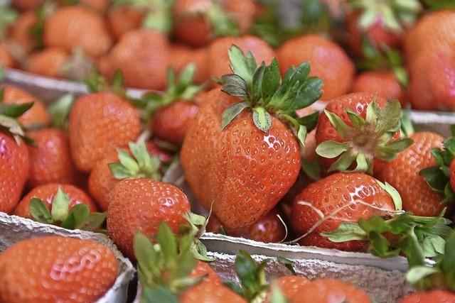 Weniger Erdbeeren aus Deutschland