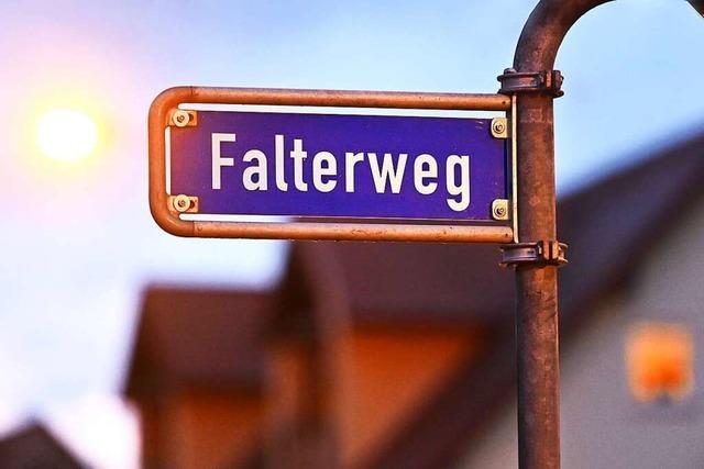 Im Freiburger Falterweg-Prozess rekonstruieren Polizeibeamte den Tattag