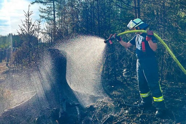 Mitglieder der Feuerwehr Lffingen ls... zwischen Dittishausen und Unterbrnd.  | Foto: Frstenberg Forst