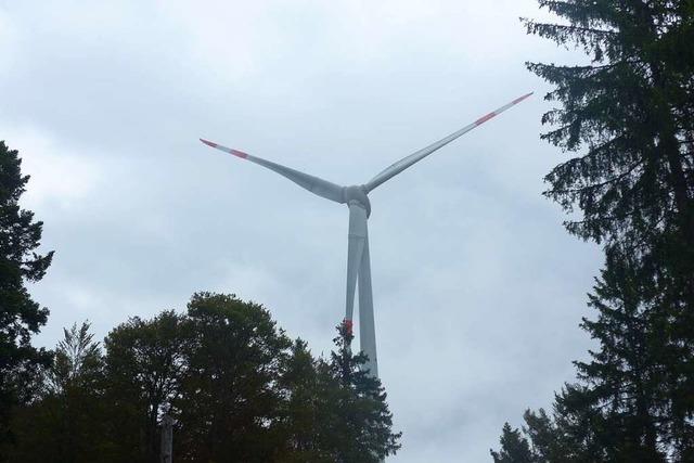 Windpark Schopfheim-Gersbach: Landratsamt gibt bei Windradlrm klein bei