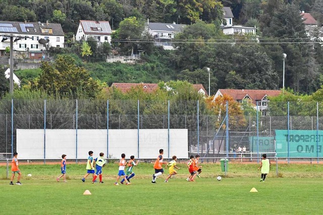 Sehr viele Kinder und Jugendliche trainieren beim SC Haagen.  | Foto: Thomas Loisl Mink