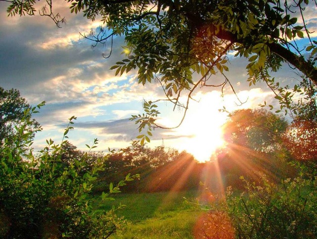 Sonnenuntergang ber dem Dietenbachgelnde in Freiburg.  | Foto: Manfred Kluth