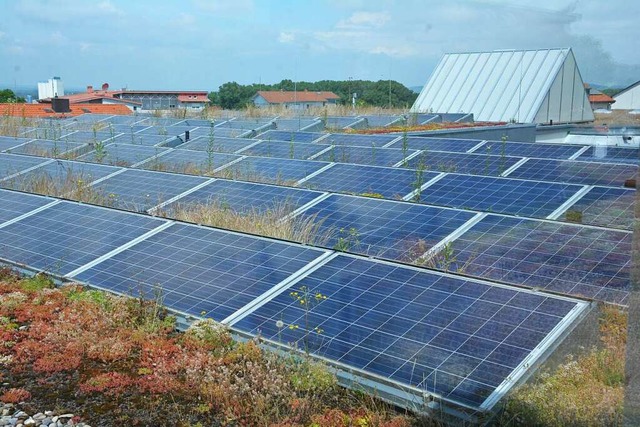 Eine von mehr als 700 Photovoltaik-Anl...dem Dach des Kant-Gymnasiums montiert.  | Foto: Hannes Lauber