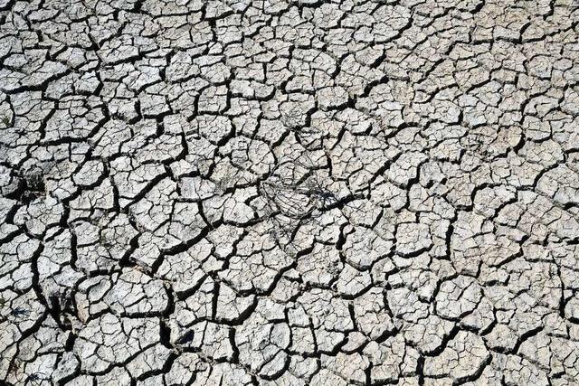 Folgen des Klimawandels in Spanien: Im Land der Drre