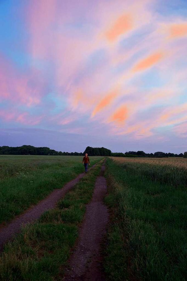 So finster kann die Nacht aussehen: Blick auf den wolkenfreien Himmel  | Foto: Dirk Liesemer 