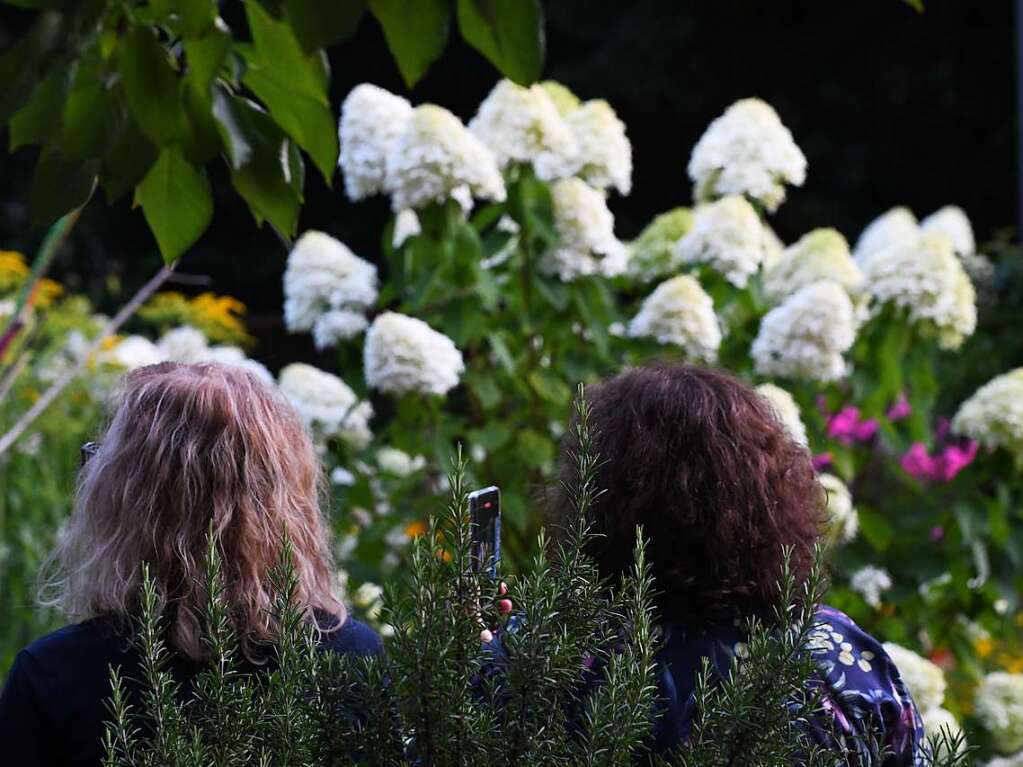 Stimmenkonzerte in familirer Atmosphre im Park des Werkraum Schpflin