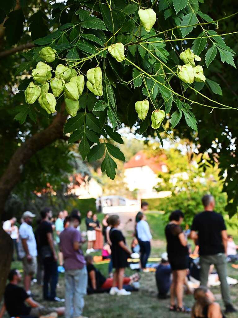 Stimmenkonzerte in familirer Atmosphre im Park des Werkraum Schpflin