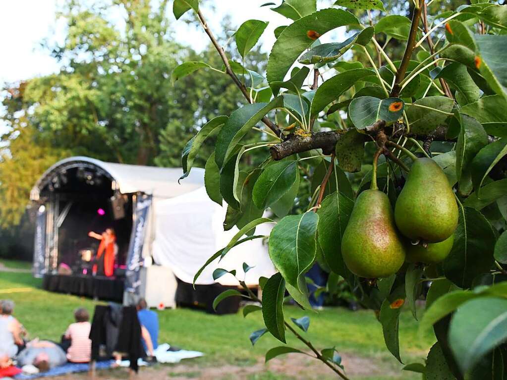 Stimmenkonzerte in familirer Atmosphre im Park des Werkraum Schpflin