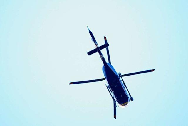 Helikopter ernten Gipfeltriebe in Aargauer Wldern