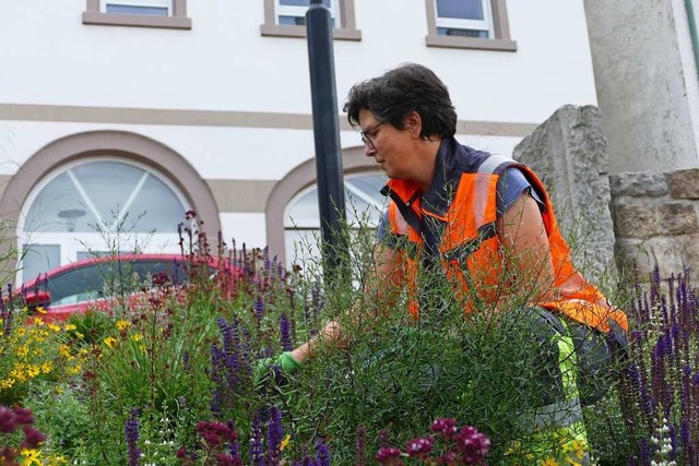 Stadtgrtnerin Edeltraud Siebler bei d...nresistenter und insektenfreundlicher.  | Foto: Stefan Limberger-Andris