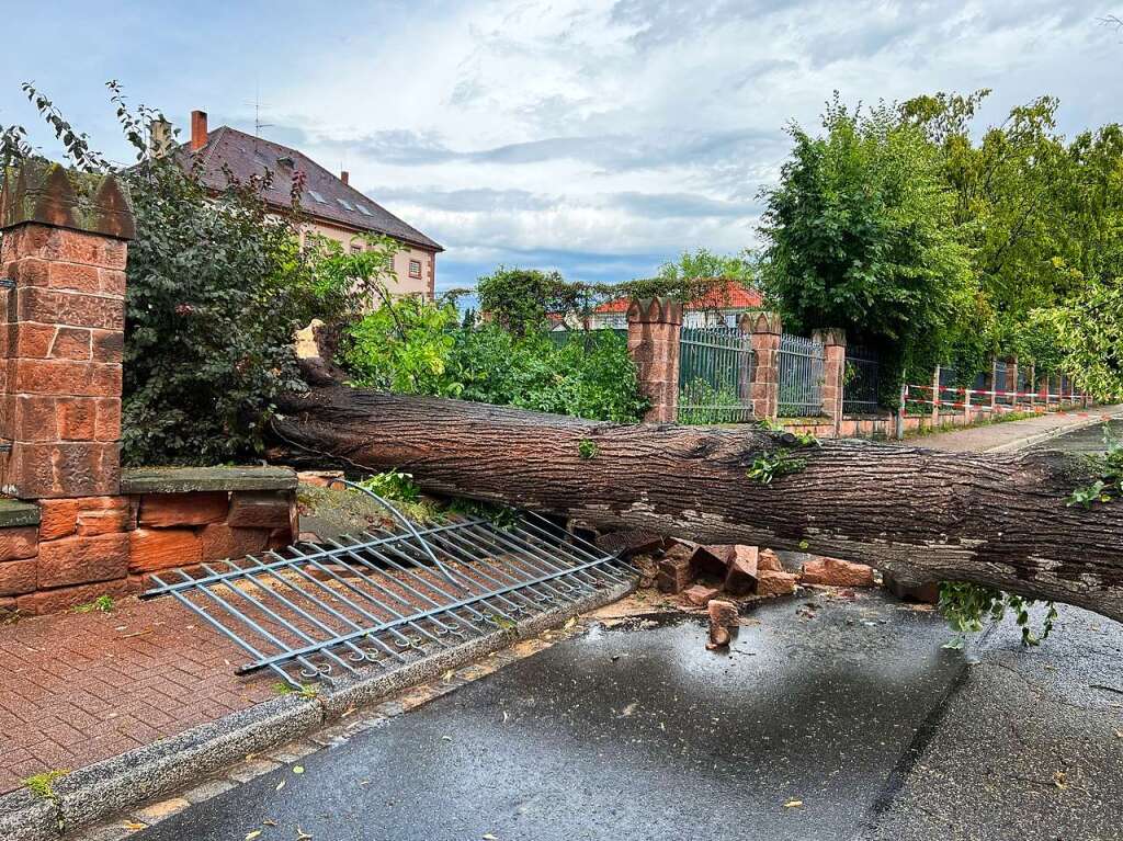 Die Amtsgericht-Linde lag quer ber der Goethestrae.