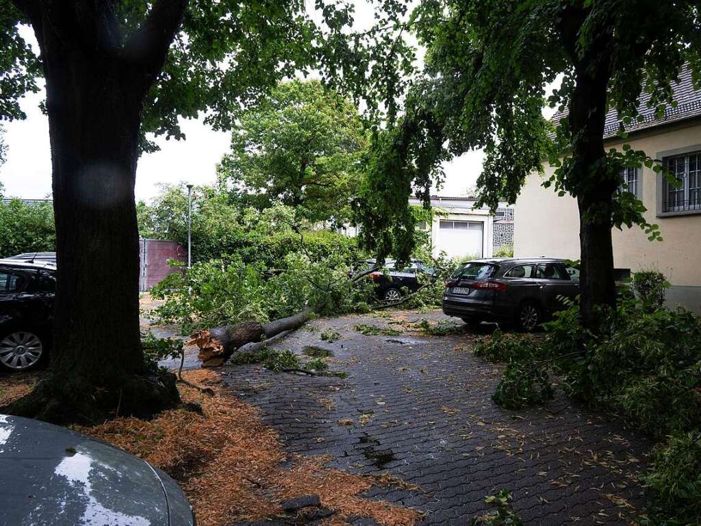 Das Gewitter fegte am Montagvormittag ber das Markgrflerland. Die Feuerwehren eilten allein in Neuenburg und Mllheim zu ber 60 Einstzen.