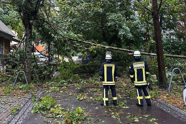 Im gesamten Stadtgebiet waren Bume auf Straen gestrzt.  | Foto: Feuerwehr Staufen