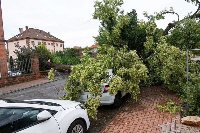 Beim Mllheimer Amtsgericht strzte ei...Strae und begrub ein Auto unter sich.  | Foto: Volker Mnch