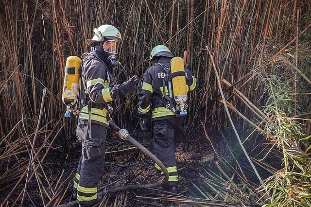 20 Einsatzkrfte der Feuerwehren aus M...am Samstag beim Bambuswald im Einsatz.  | Foto: Nadine Remde